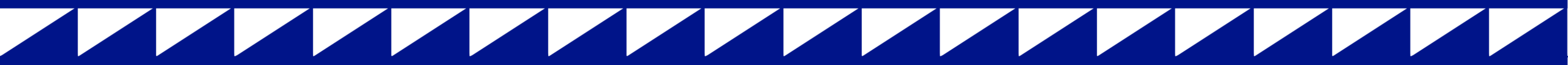 Pleca decorativa